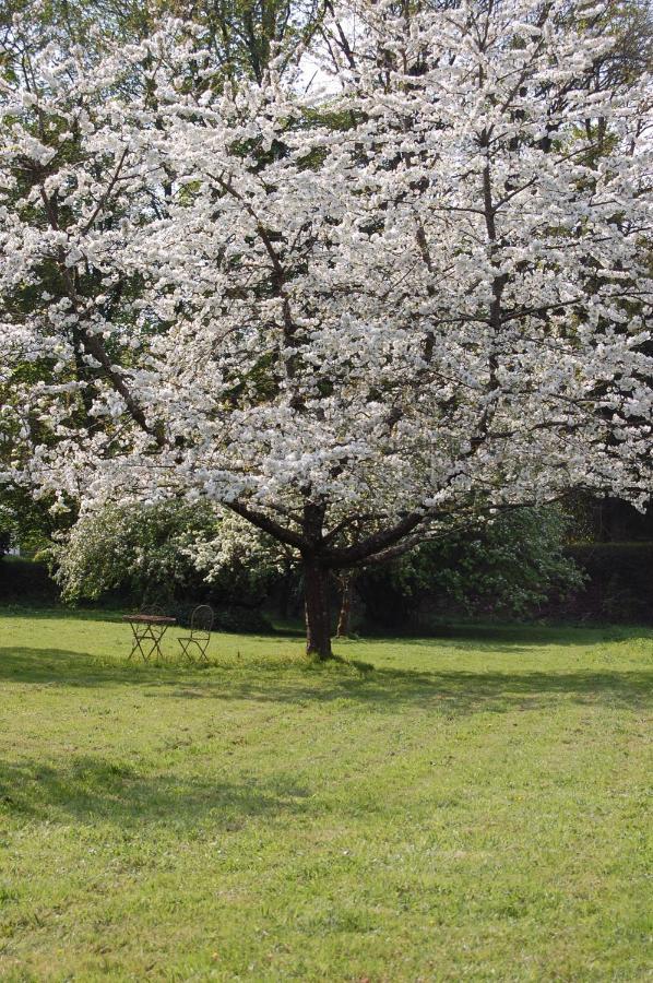 Gite Dans Un Domaine Historique Chevreuse Εξωτερικό φωτογραφία